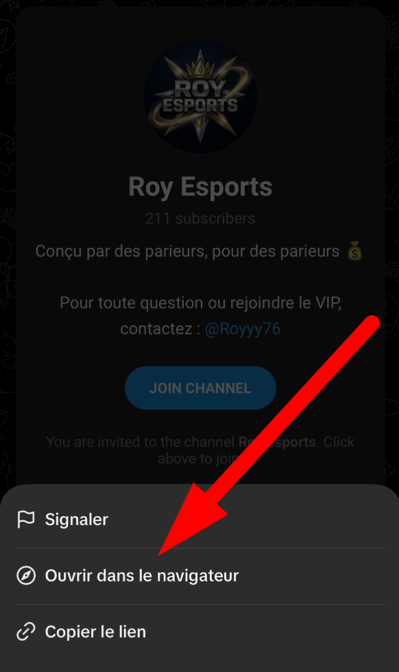 Étape 2 : ouvrir dans le navigateur